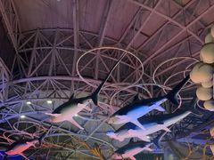 -烟台海昌鲸鲨海洋公园