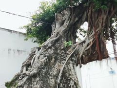 -闽粤南澳总镇府