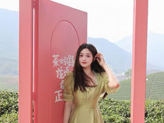 -龙坞茶村