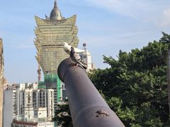 -大炮台