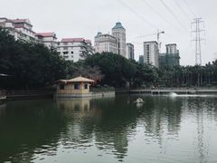-光明港公园