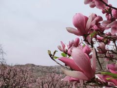 -北京明城墙遗址公园