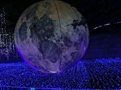 -重庆海昌加勒比海水世界