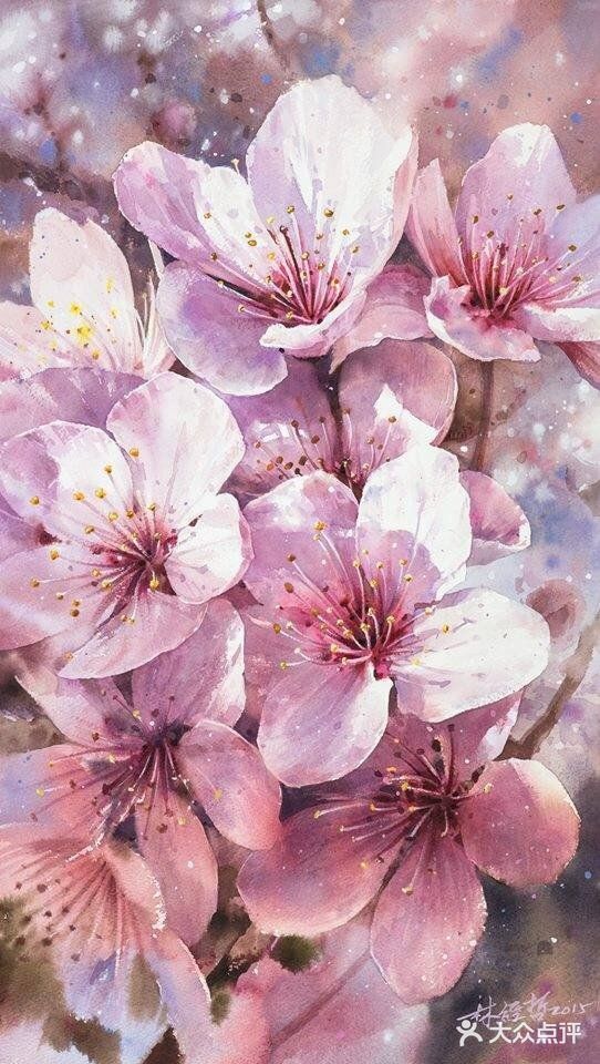 台湾画家林经哲樱花水彩画作品欣赏[礼花][礼花]