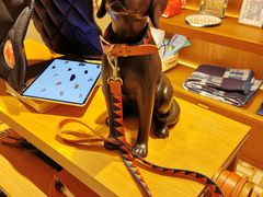 -爱马仕 HERMES(上海ifc商场店)