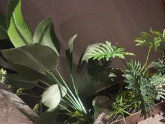 -德天肥牛海鲜火锅(城西银泰店)
