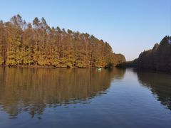 -上海海湾国家森林公园