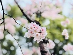 -恒基688广场