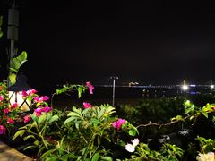 -蠔爺王志德生蚝馆(金沙湾店)