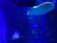 -沈阳海洋探索中心