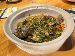 -滇铺子·云南特色菜·第九届野生菌美食节(东风东路c86店)
