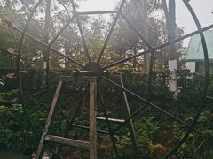 -合肥滨湖国家森林公园