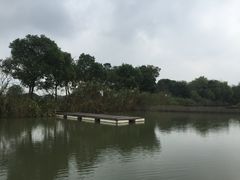 -梁鸿国家湿地公园