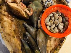 一片海（小海/份）-日进一片海.生腌海鲜火锅.宵夜烧烤(三里屯总店)