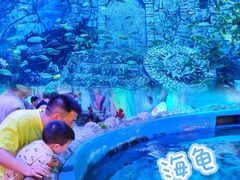 -横店影视城梦幻谷园区