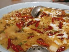 -姚姚酸菜鱼·金戈戈香港豉油鸡(喜荟城联名店)