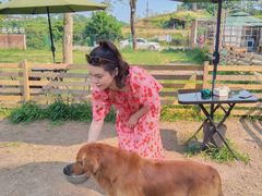 -趣多多宠物公园·宠物训犬学校·宠物寄养