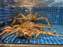 -海月轩海鲜豆捞(紫金塔店)