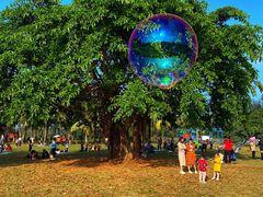 -白沙门生态公园