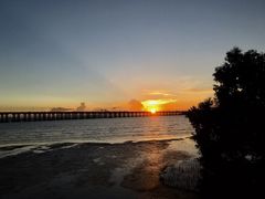 -宝安西湾红树林湿地公园