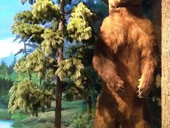 -陕西自然博物馆