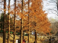 -白水寺森林公园