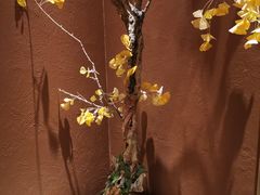 -京华烟云·北京烤鸭(领展购物广场·中关村店)
