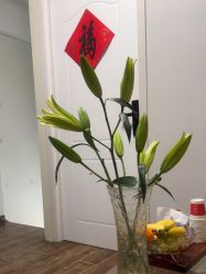 -美画·轻奢美甲美睫