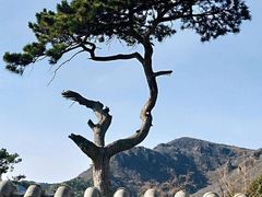 -妙峰山风景名胜区