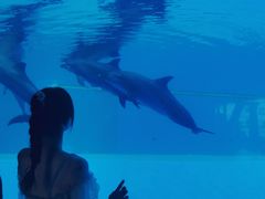 -横琴湾水世界