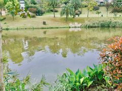 -枫香湖儿童公园