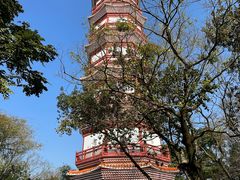 -分塔山省级森林公园