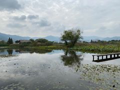 -长兴太湖图影湿地文化园