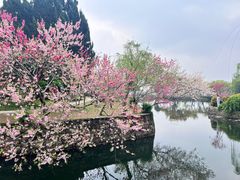 -无锡蠡湖国家湿地公园-蠡园