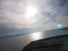 -龙梅肥肠鱼(明瓦廊店)