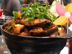 麻辣鲶鱼煲-川香煲(茅台路店)