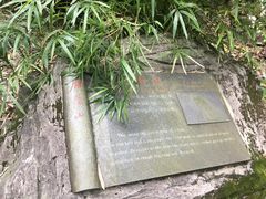 -雁荡山三折瀑景区