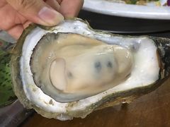 -蚝得喜海鲜(东城店)