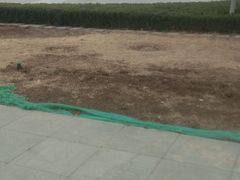 -安阳博物馆