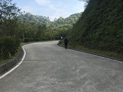 -广州市帽峰山景区