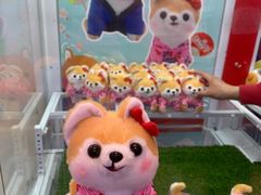 -LLJ夹机占(清河万象汇店)