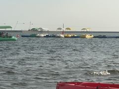 -碧海金沙