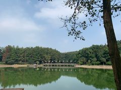 -象山森林公园
