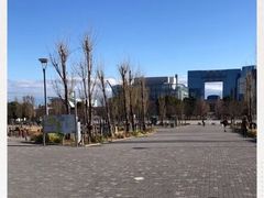 -台场海滨公园船码头