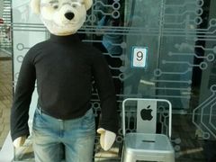 -济州岛泰迪熊博物馆