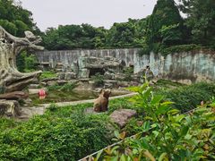 -宁波野生动物园