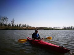 -春花秋色城市公园