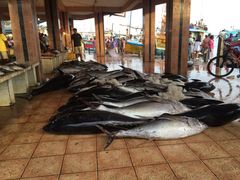 -尼甘布海鲜市场