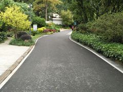 -晓港公园