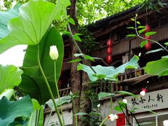 -火炉山森林公园